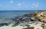 pigons island