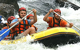 activities