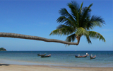 beaches and bays